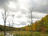Fall '05 - 6